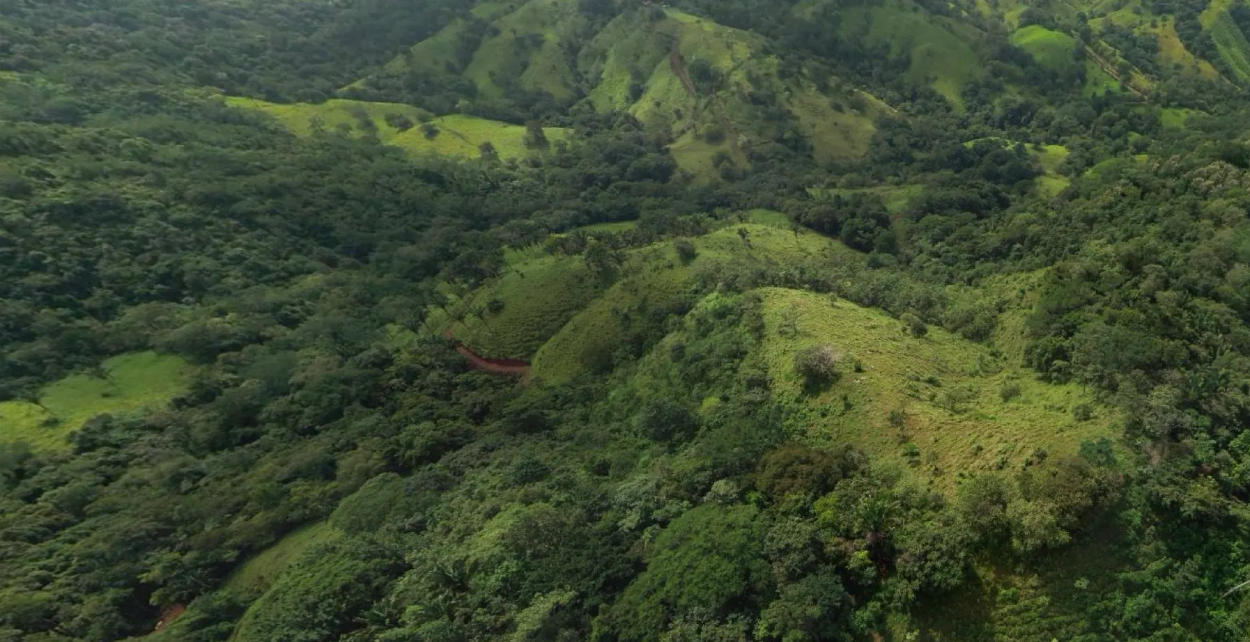 Aerial view over forested ridges and green pasture