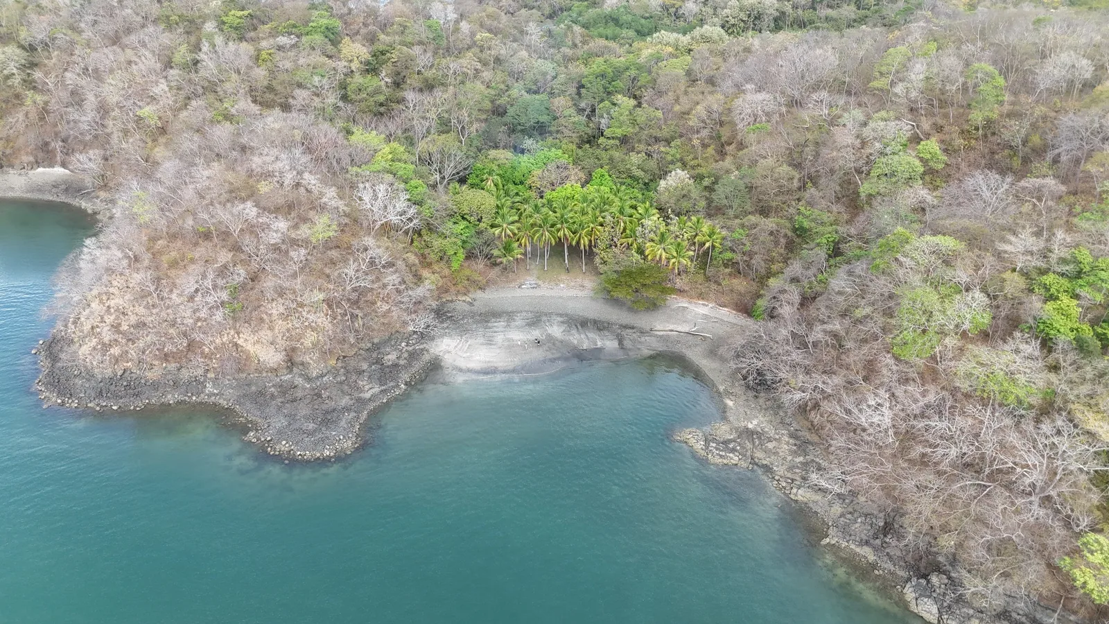 Aerial view of a sheltered island cove below dry forest